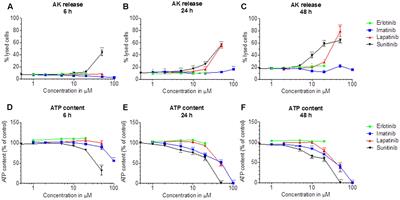 Hepatocellular Toxicity Associated with Tyrosine Kinase Inhibitors: Mitochondrial Damage and Inhibition of Glycolysis